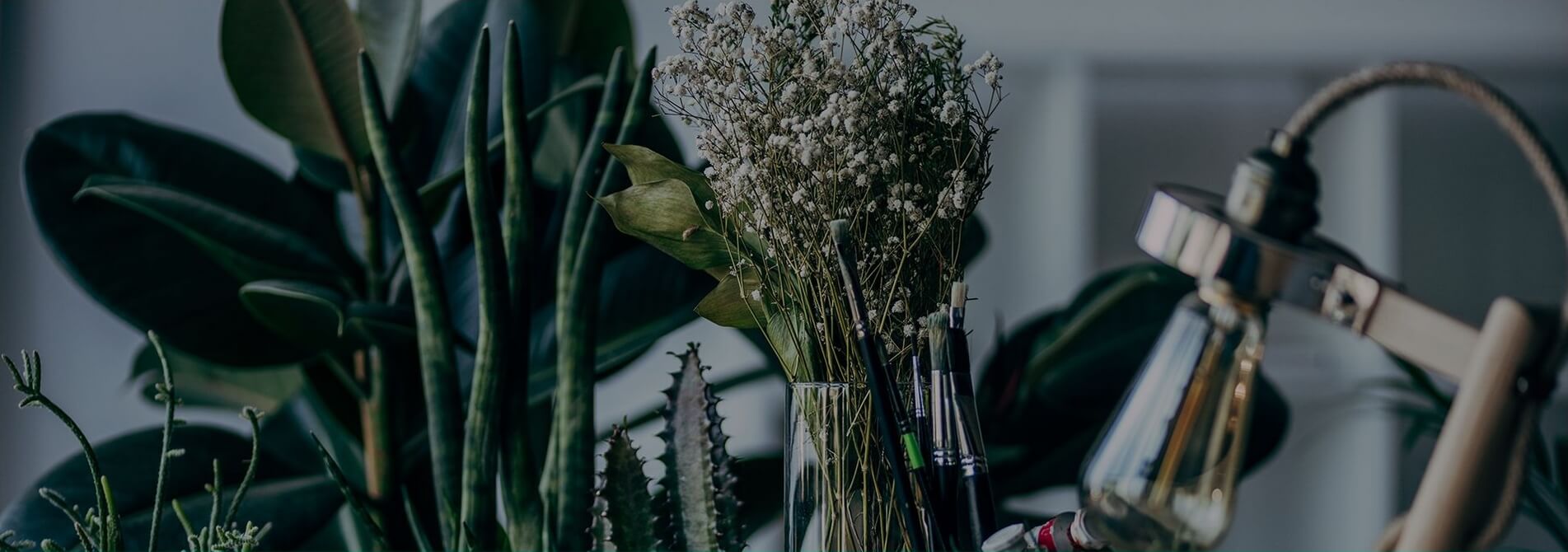 SINDER S.L. - PLANTAS