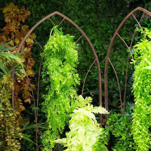 PLANTAS COLGANTES - SINDER S.L.